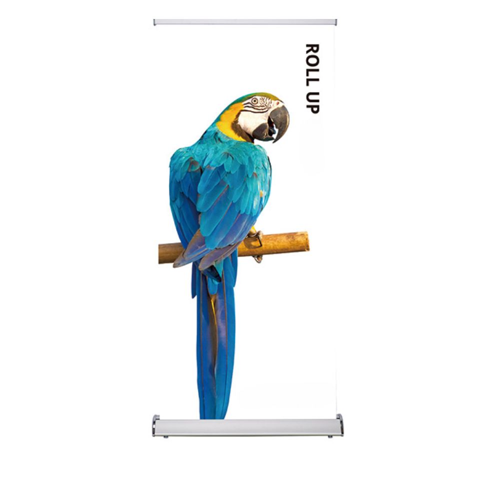 Rollup and Popup Units