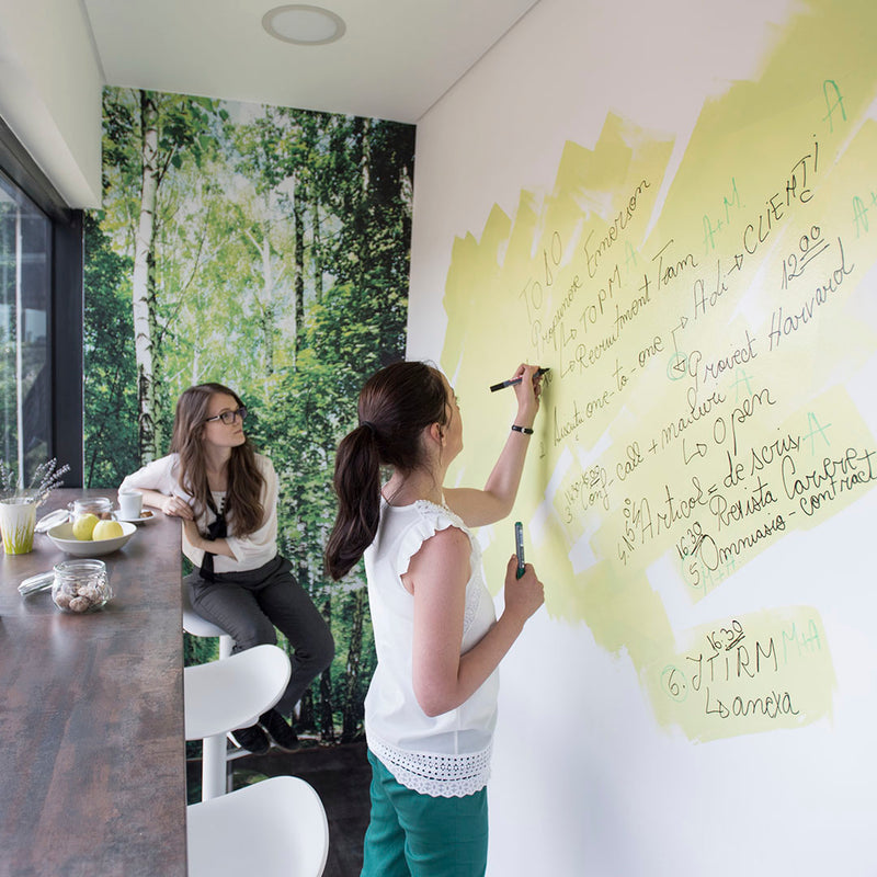 ESCREO Clear Whiteboard Paint